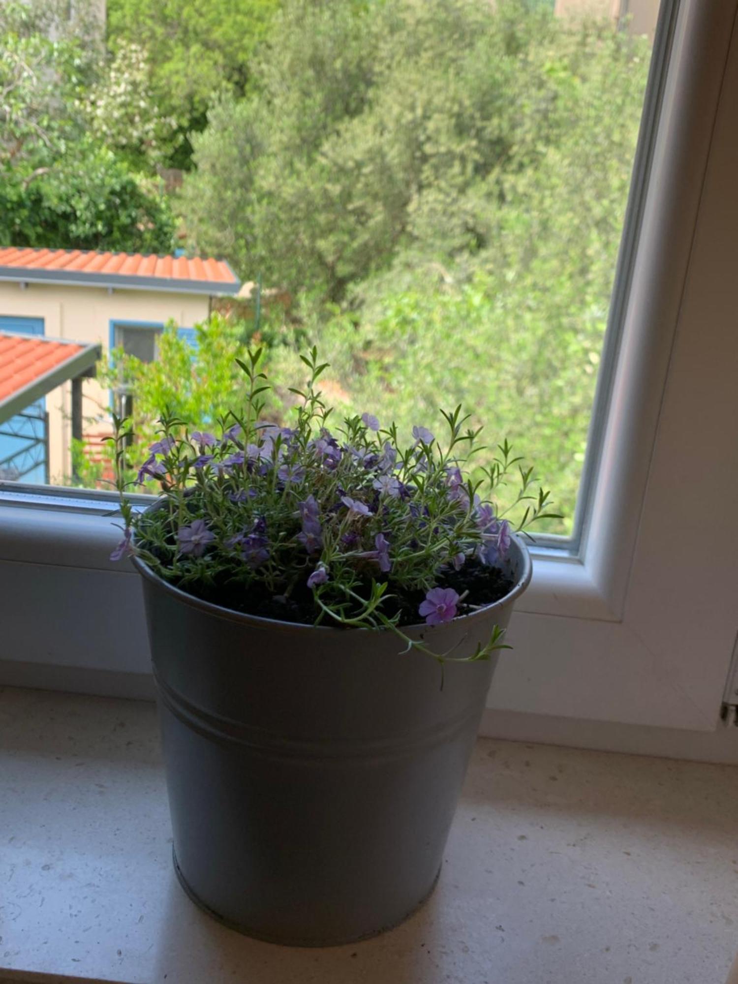 Apartmán Klara&ivan Split